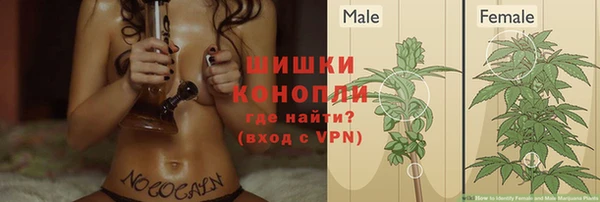 СК Кинешма