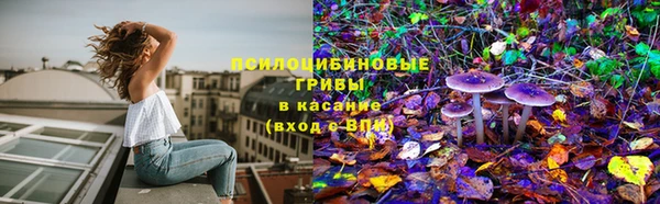 бутират Карпинск