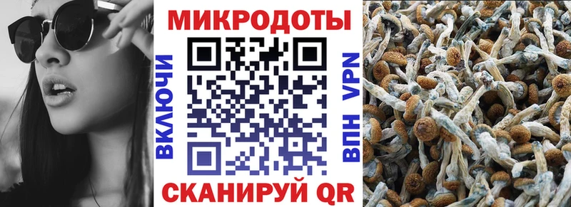 где можно купить   Кондрово  сайты даркнета наркотические препараты  Галлюциногенные грибы мухоморы 